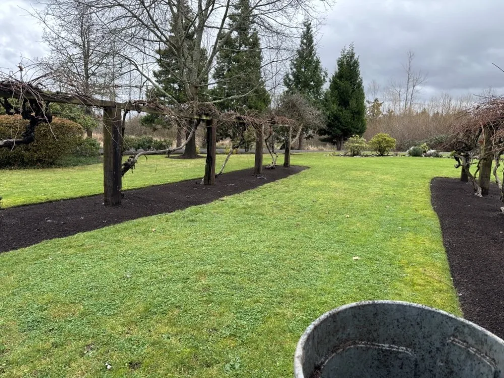 Professional landscaping services for year-round maintenance in Eugene, OR by Eleazar Yard Service