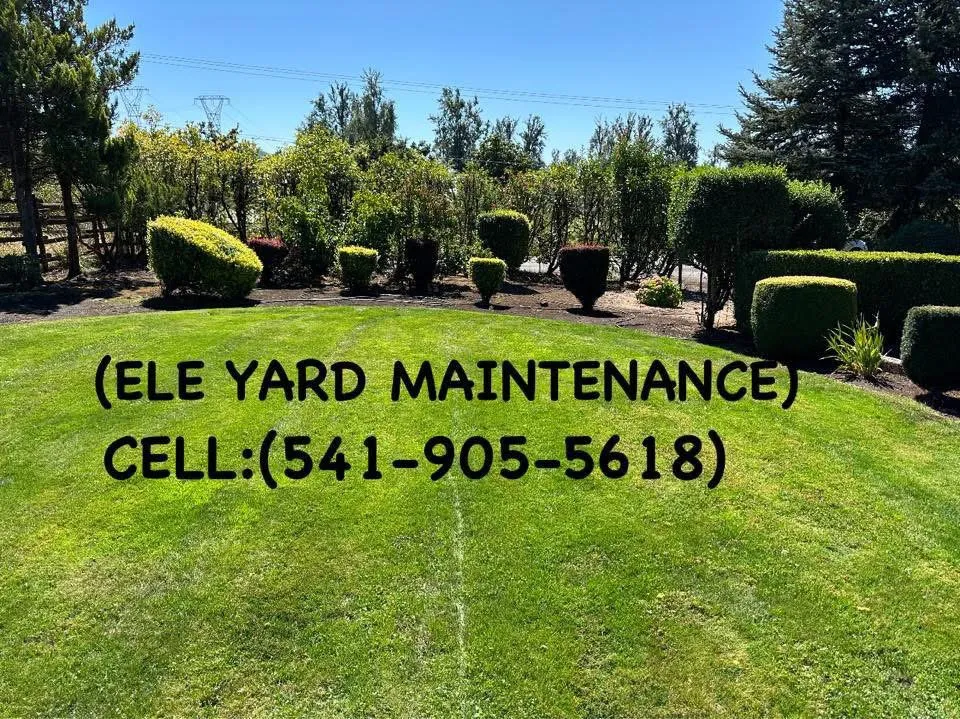 Affordable yard cleanup service with custom design in Eugene, OR by Eleazar Yard Service