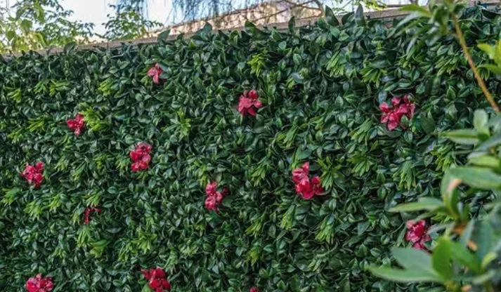 Local garden landscaping experts serving Corona, CA - Elect Landscape Services