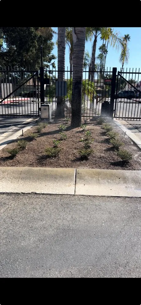 Affordable lawn care service experts serving Corona, CA - Elect Landscape Services