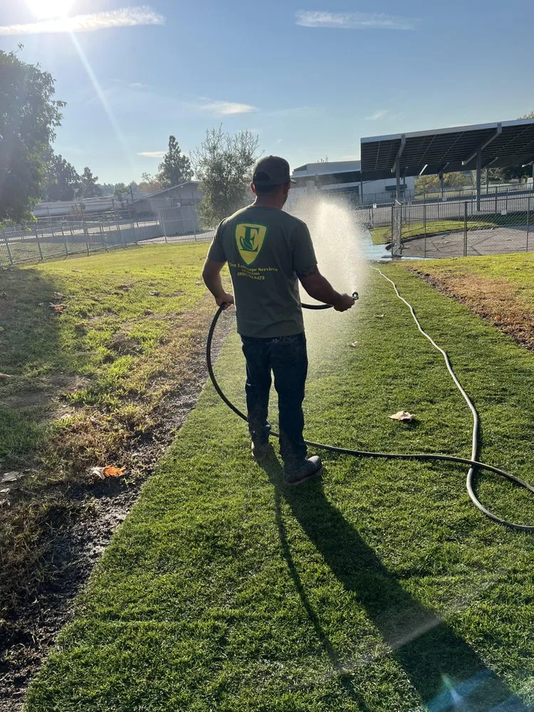 Local lawn care service in Corona, CA by Elect Landscape Services