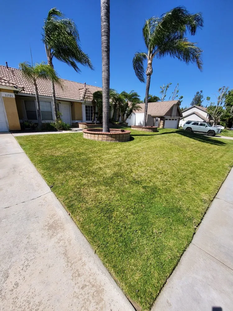 Trusted residential landscaping experts serving Corona, CA - Electric Cuts Lawn Service