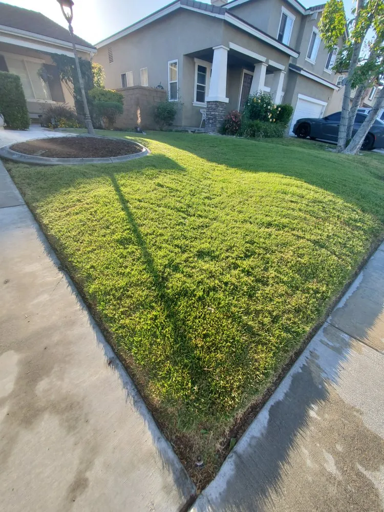 Custom yard cleanup service in Corona, CA by Electric Cuts Lawn Service