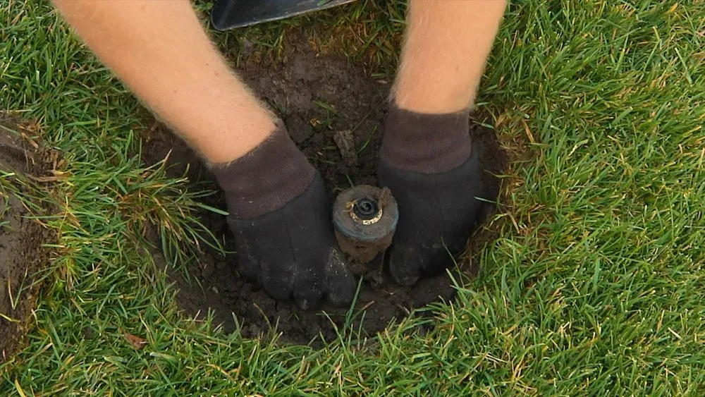 Trusted residential landscaping experts serving Corona, CA - Electric Cuts Lawn Service