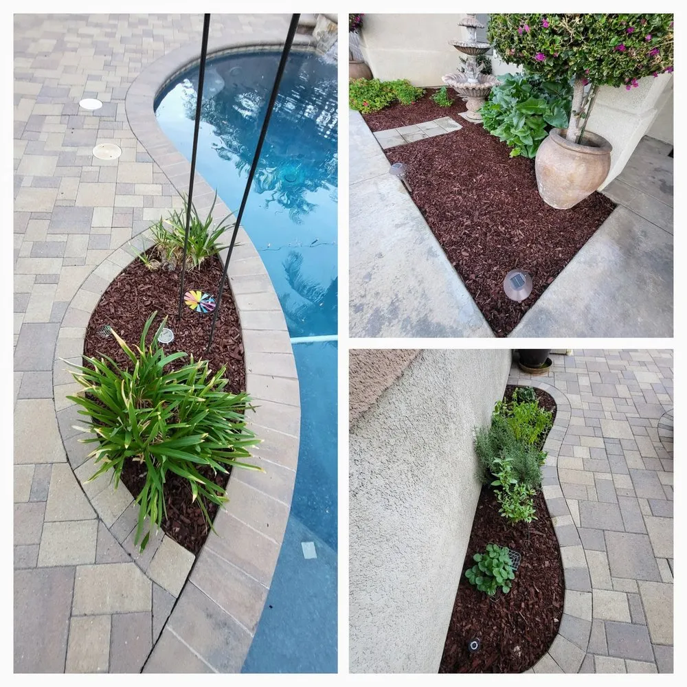 Expert yard cleanup service in Corona, CA - Electric Cuts Lawn Service