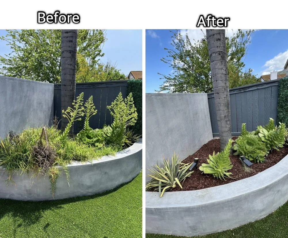 Custom residential landscaping in Corona, CA by Electric Cuts Lawn Service