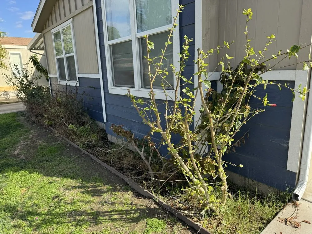 Custom residential landscaping for year-round maintenance across Corona, CA - Electric Cuts Lawn Service