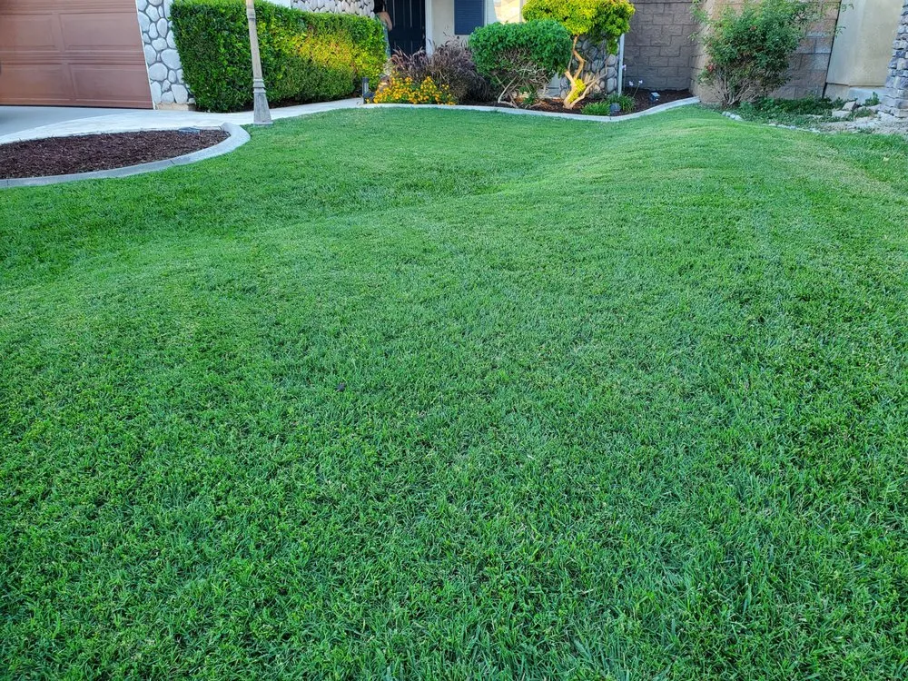 Reliable outdoor landscaping experts serving Corona, CA - Electric Cuts Lawn Service