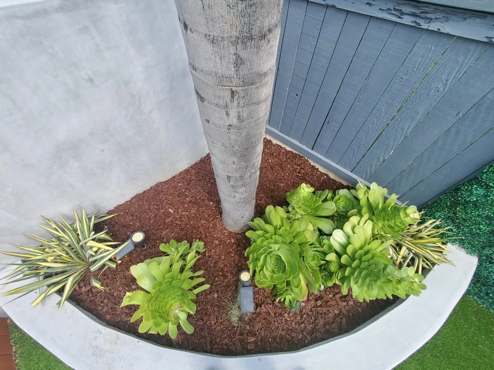 Local residential landscaping experts serving Corona, CA - Electric Cuts Lawn Service