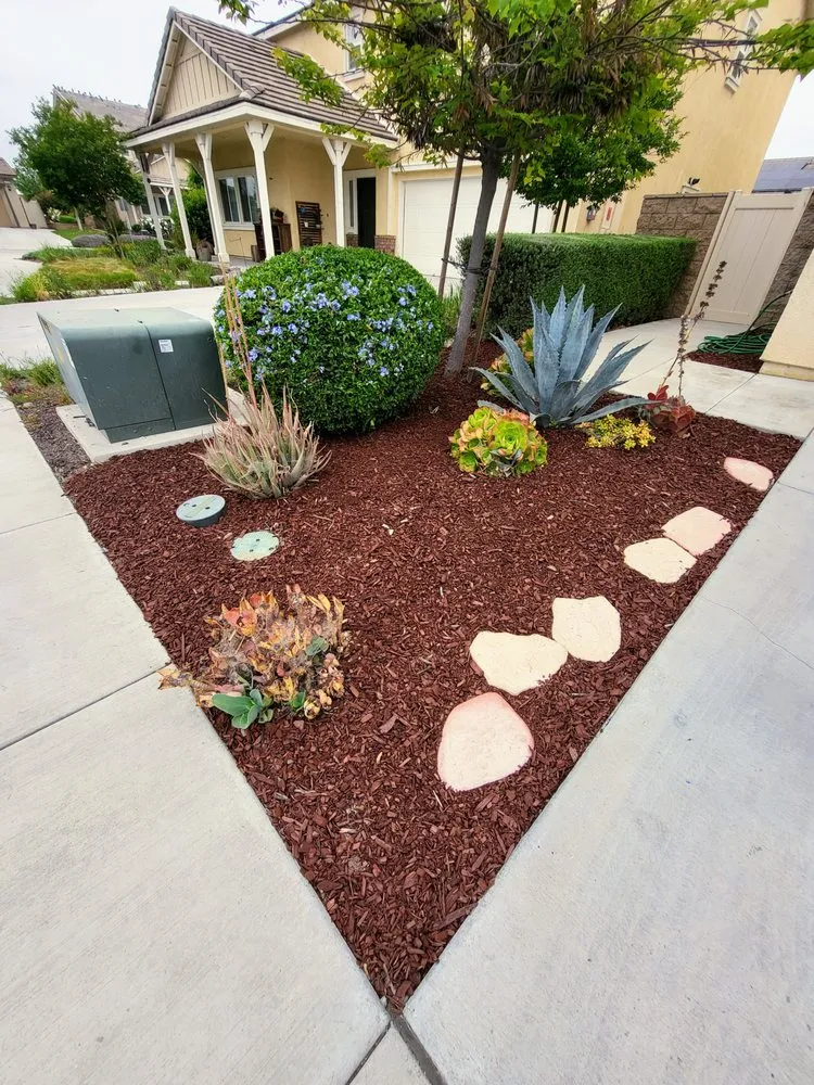 Trusted yard maintenance in Corona, CA by Electric Cuts Lawn Service