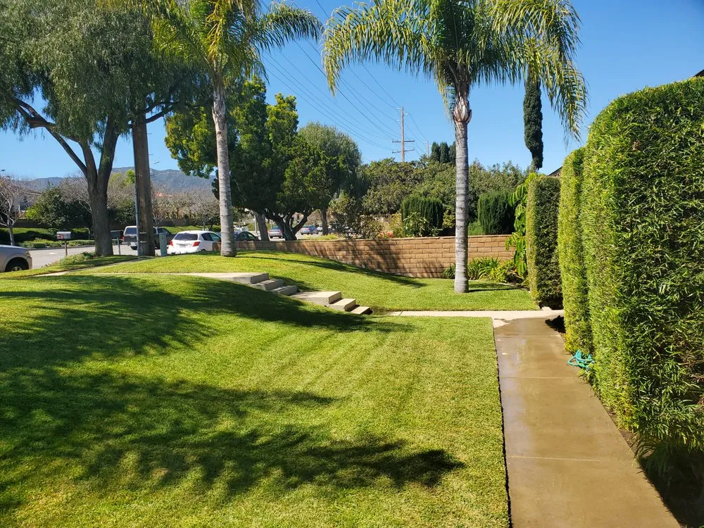 Professional yard cleanup service for outdoor upgrades across Corona, CA - Electric Cuts Lawn Service