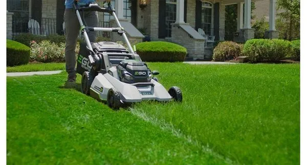 Electric Cuts Lawn Service Logo