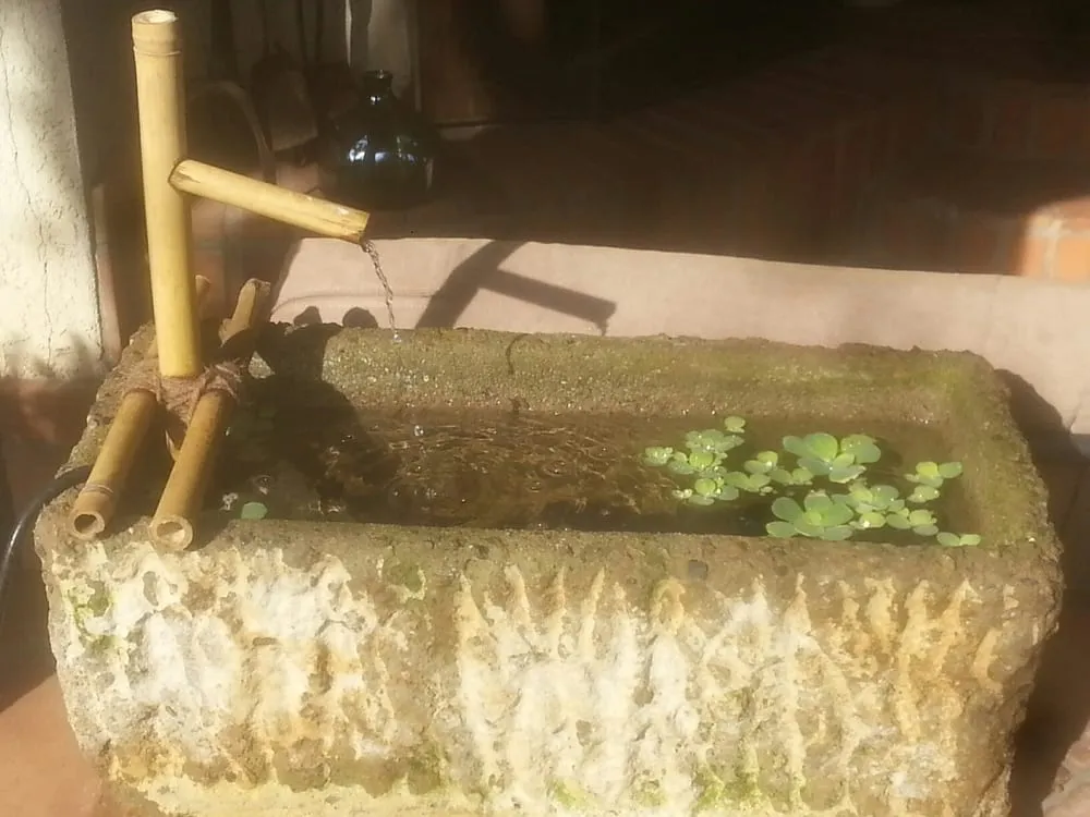 Professional garden landscaping in San Diego, CA - Electric Grasshopper Landscape Design