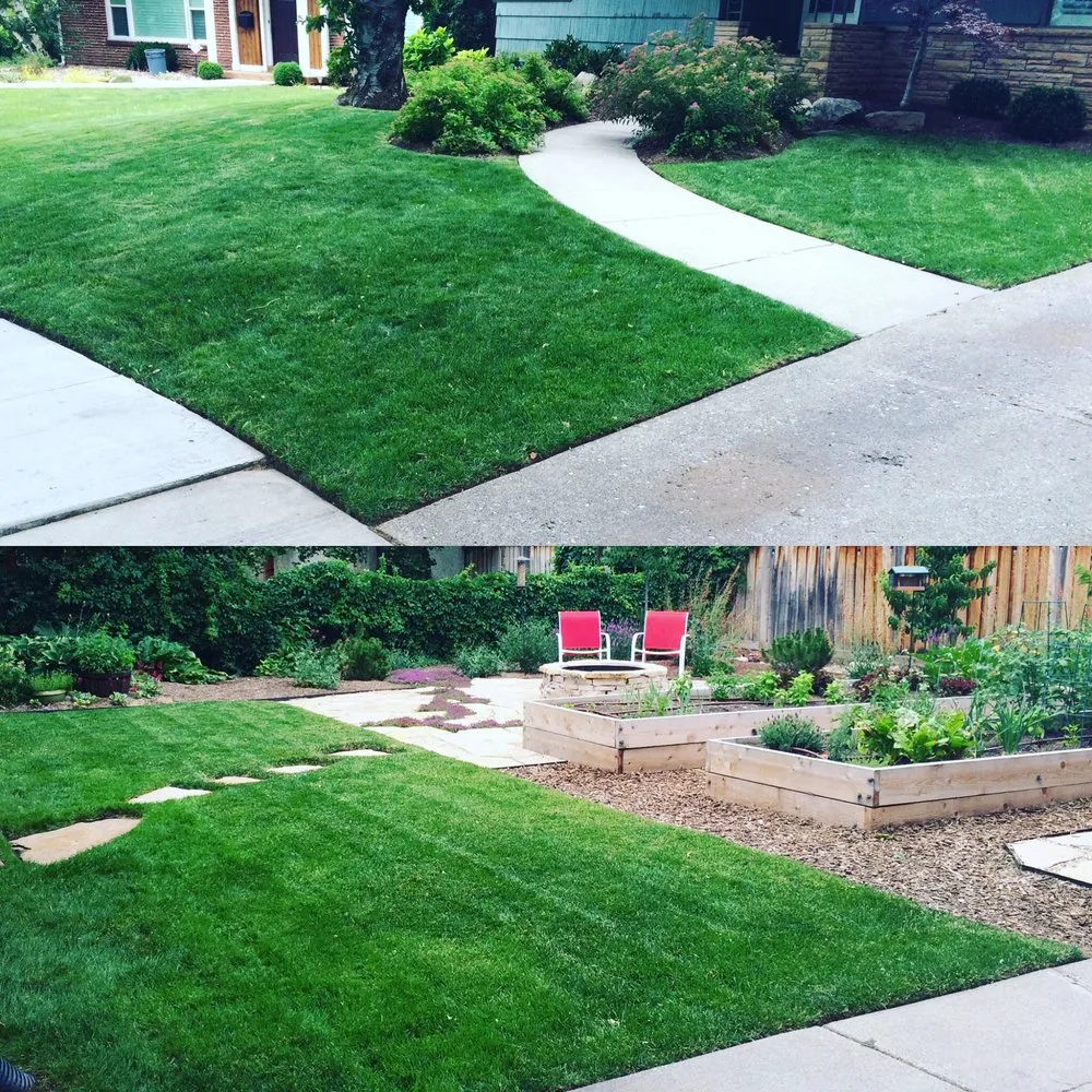 Top-rated landscaping services experts serving Salt Lake City, UT - Electric Lamb Zero Emission Lawn Care