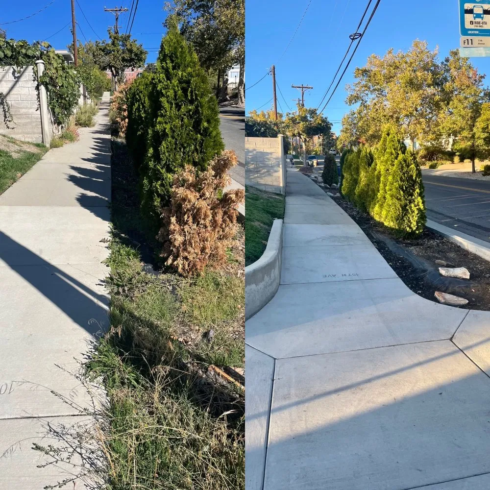 Reliable lawn mowing service experts serving Salt Lake City, UT - Electric Lamb Zero Emission Lawn Care