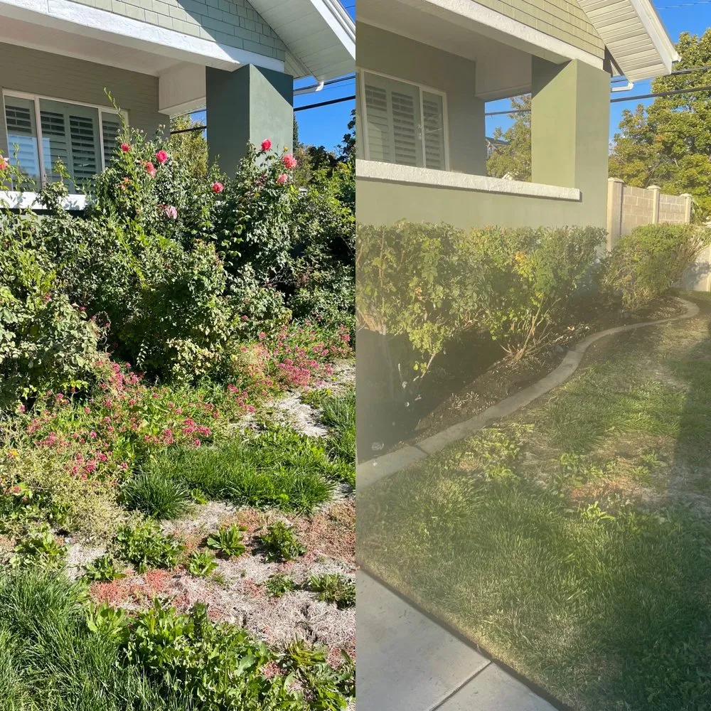 Custom lawn care service in Salt Lake City, UT - Electric Lamb Zero Emission Lawn Care