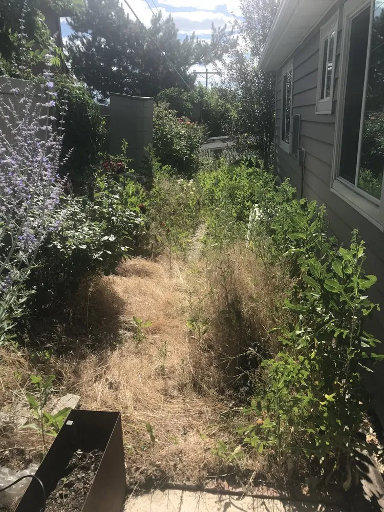 Professional residential landscaping experts serving Salt Lake City, UT - Electric Lamb Zero Emission Lawn Care