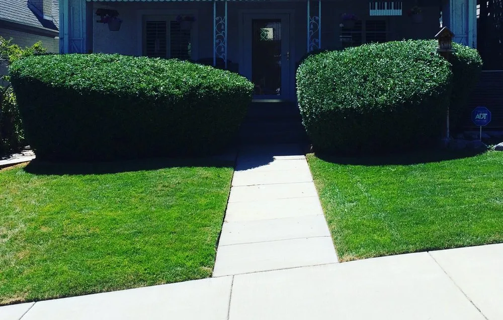 Custom yard maintenance experts serving Salt Lake City, UT - Electric Lamb Zero Emission Lawn Care