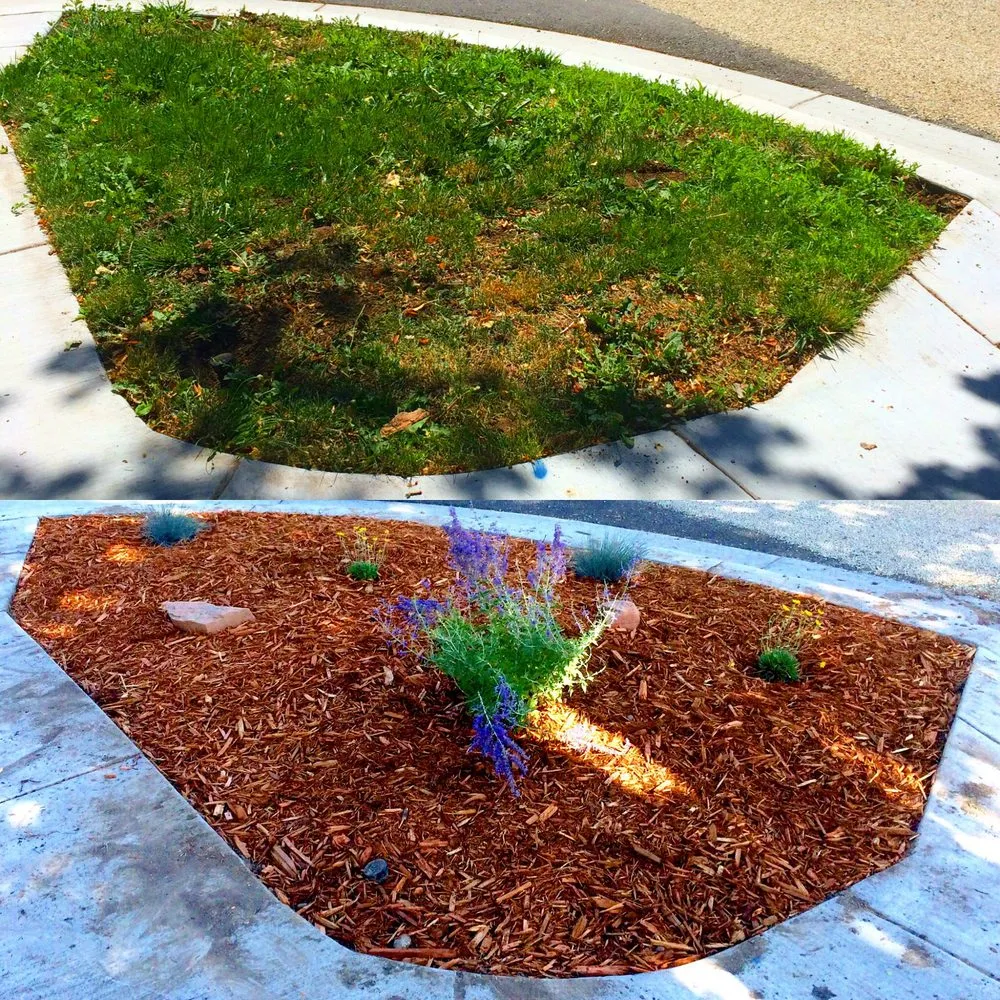 Trusted landscape design in Salt Lake City, UT - Electric Lamb Zero Emission Lawn Care