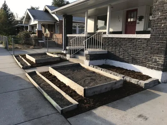 Electric Lamb Zero Emission Lawn Care Logo