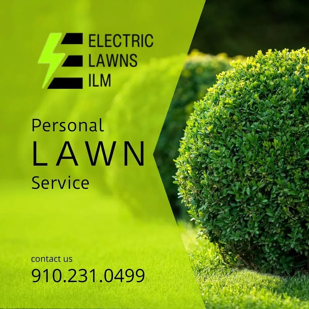 Top-rated landscape design in Wilmington, NC by Electric Lawns ILM