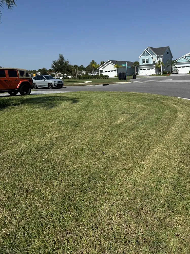Professional yard maintenance experts serving Jacksonville, FL - Electrified Lawns of Jax