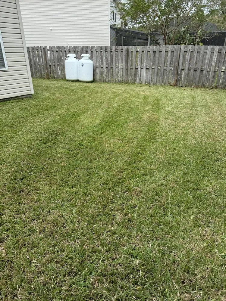 Expert lawn mowing service for year-round maintenance across Jacksonville, FL - Electrified Lawns of Jax