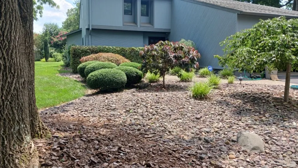Affordable yard cleanup service with custom design in Annandale, VA by Electro Landscaping