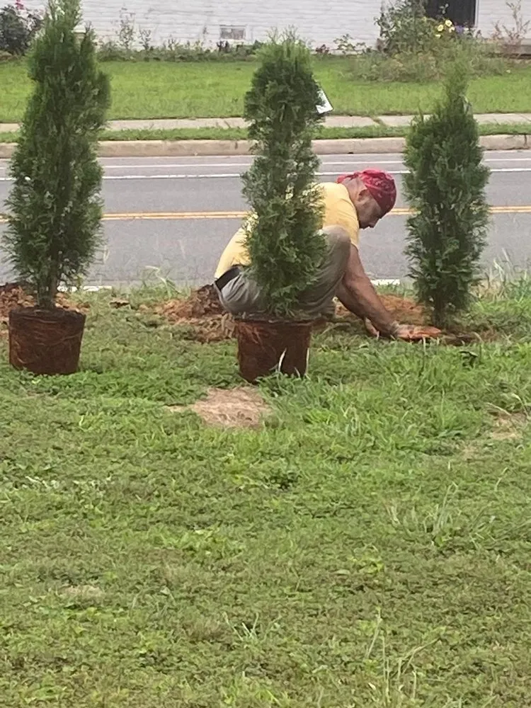 Top-rated lawn care service with custom design across Annandale, VA - Electro Landscaping