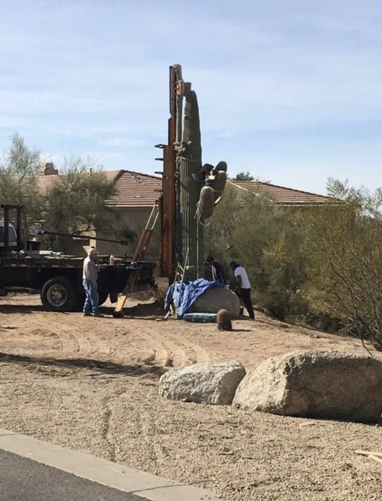 Expert landscape design experts serving Corona, CA - Elegance Landscaping