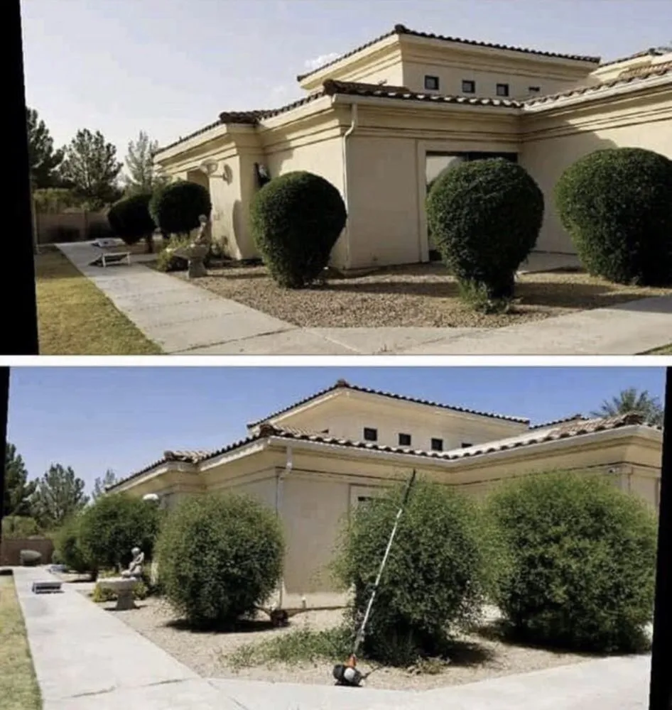 Top-rated landscaping services in Corona, CA by Elegance Landscaping