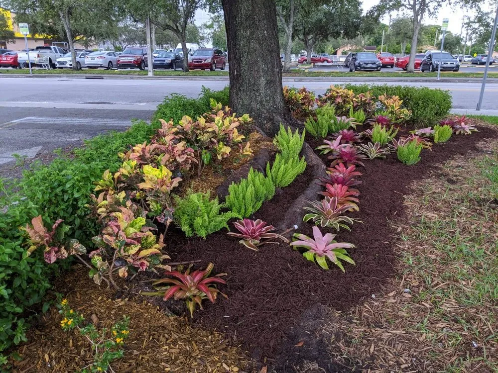 Top-rated landscape installation for outdoor upgrades in Southwest Ranches, FL by Elegance Landscaping