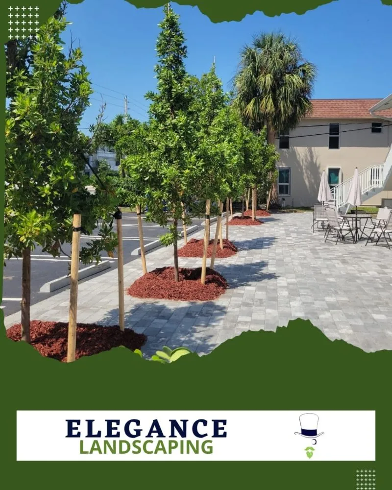 Expert landscape installation for year-round maintenance in Southwest Ranches, FL by Elegance Landscaping