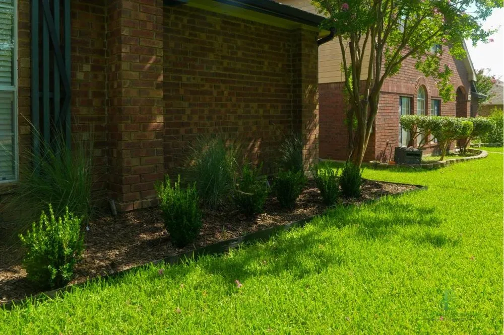 Affordable yard maintenance with custom design across Carrollton, TX - Elegance Outdoor Living