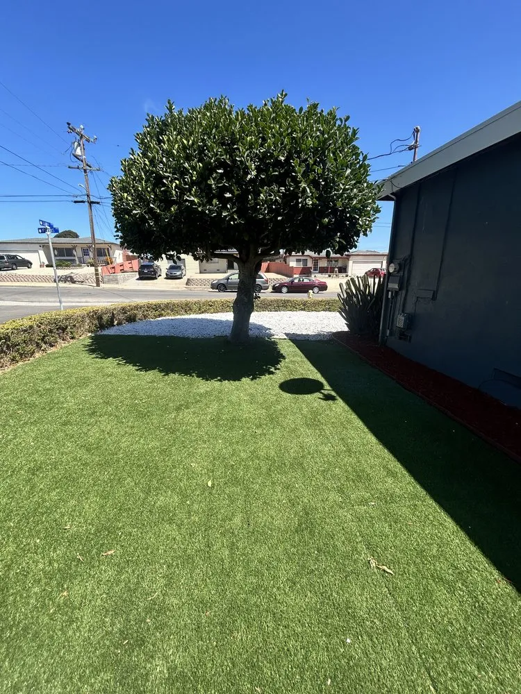 Reliable lawn mowing service in Seaside, CA by Elegancia Landscaping Property Maintenance