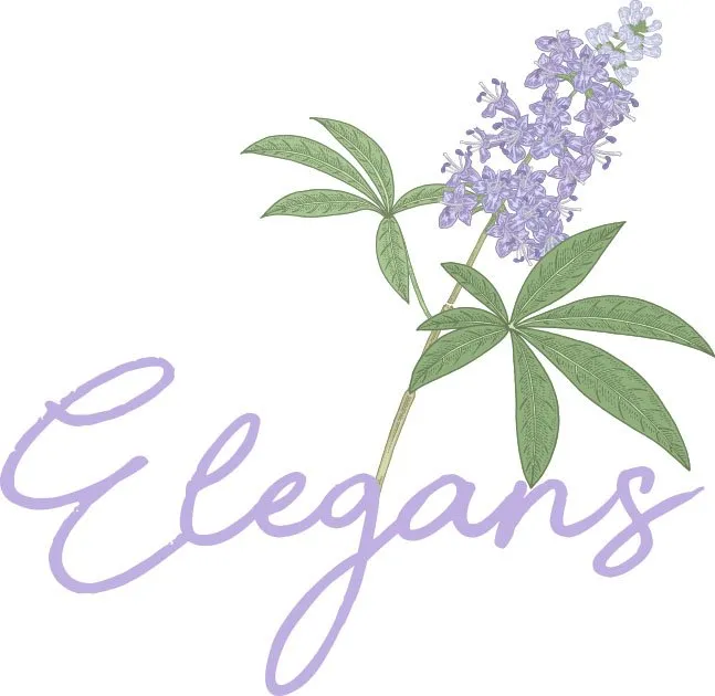 Reliable landscaping services experts serving Hanahan, SC - Elegans