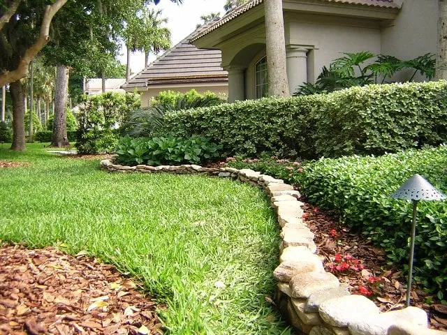 Reliable landscape design for residential properties in Jacksonville, FL by Elegant Earth Solutions