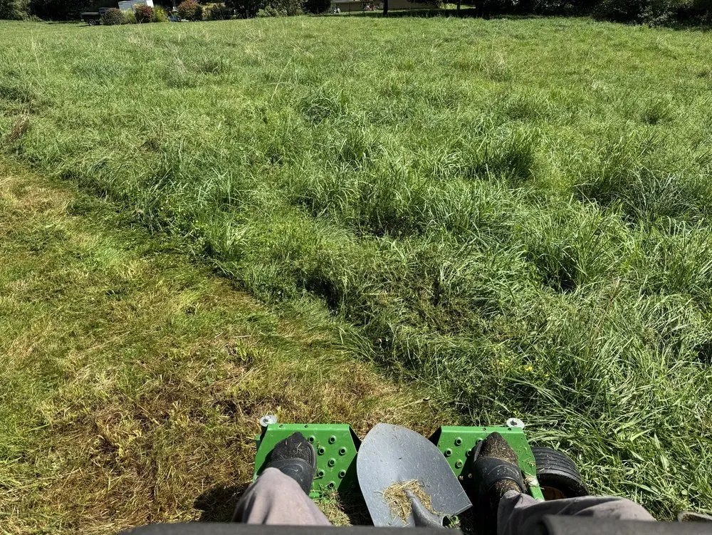 Affordable landscape design in Cortland, NY by Elegant Flowers Lawn Care & Services