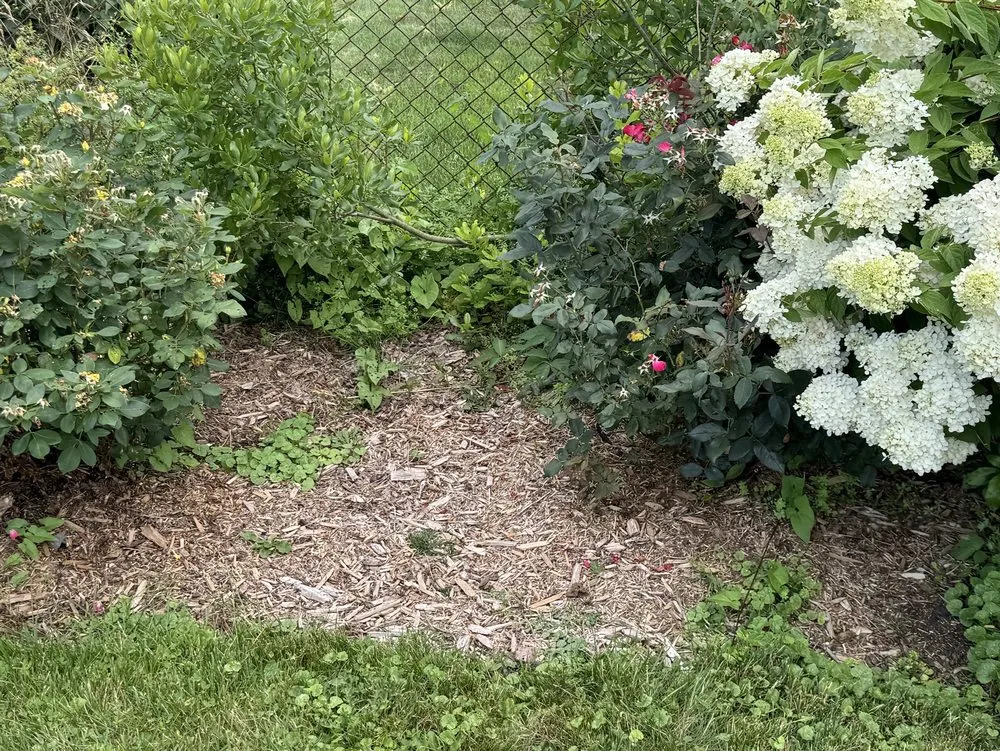 Trusted yard maintenance in Cortland, NY by Elegant Flowers Lawn Care & Services