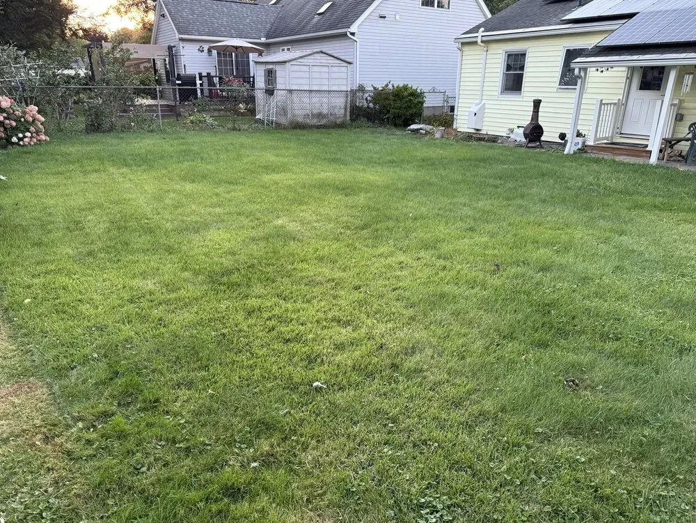 Trusted lawn care service in Cortland, NY - Elegant Flowers Lawn Care & Services