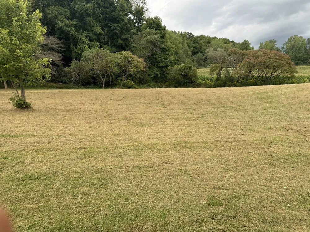 Reliable landscape design experts serving Cortland, NY - Elegant Flowers Lawn Care & Services