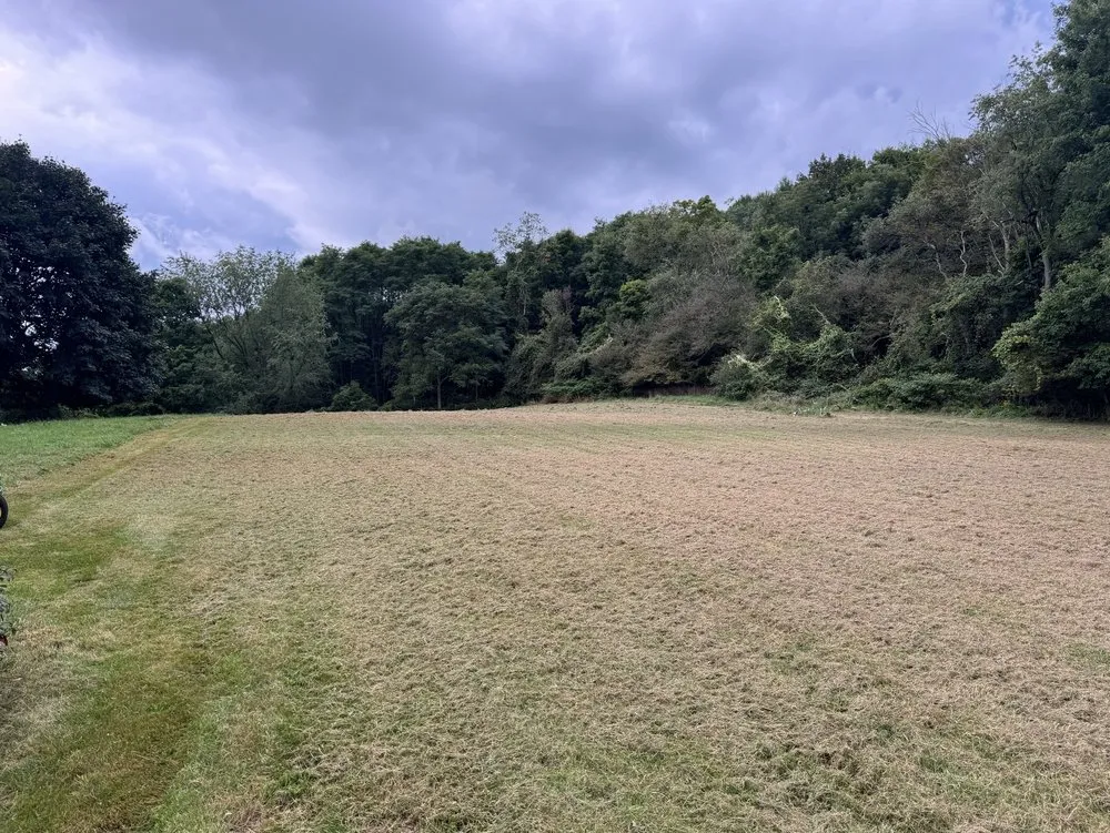 Reliable outdoor landscaping in Cortland, NY by Elegant Flowers Lawn Care & Services