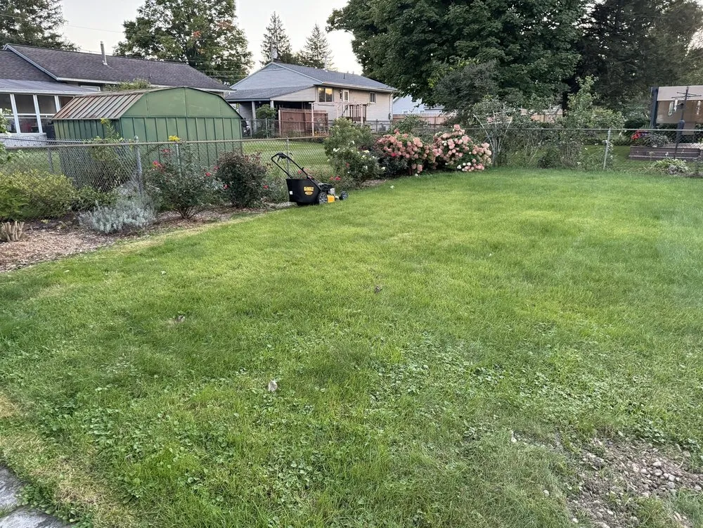 Expert yard cleanup service experts serving Cortland, NY - Elegant Flowers Lawn Care & Services