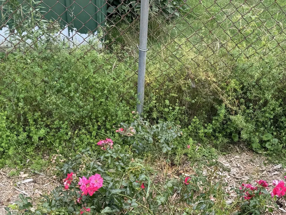 Custom landscaping services experts serving Cortland, NY - Elegant Flowers Lawn Care & Services