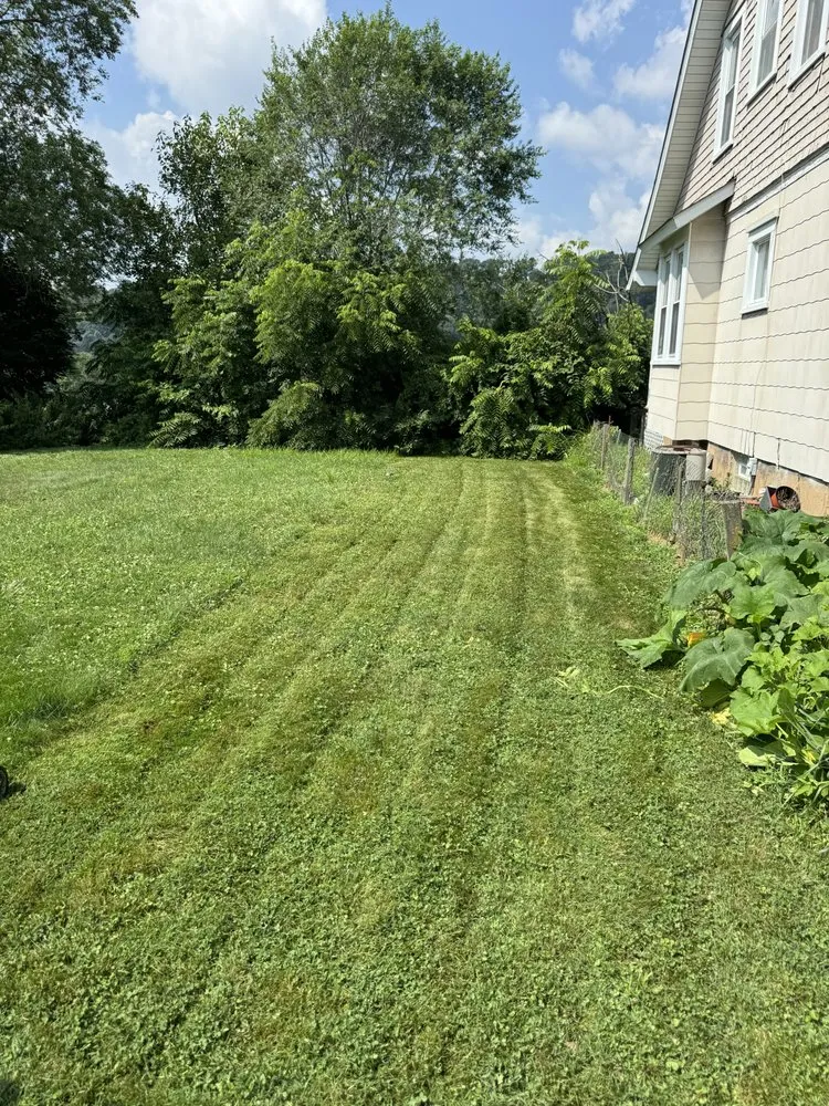 Reliable outdoor landscaping near you in Ambridge, PA by Elegant grass enhancement