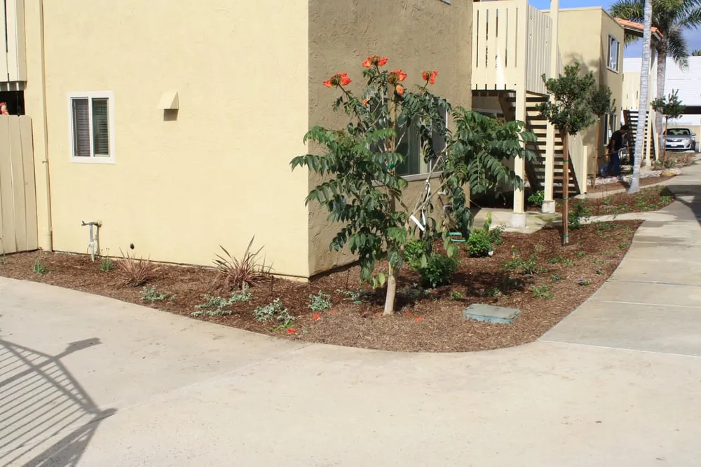 Affordable garden landscaping in Escondido, CA - Elegant Landscape