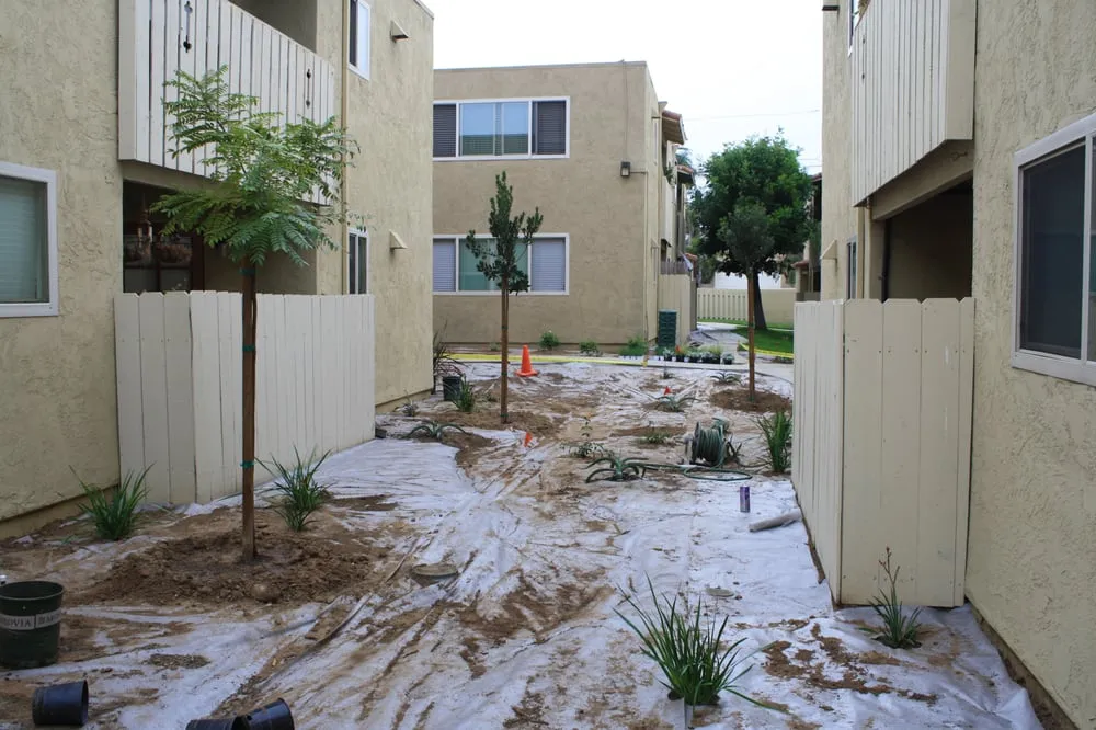 Expert yard cleanup service experts serving Escondido, CA - Elegant Landscape