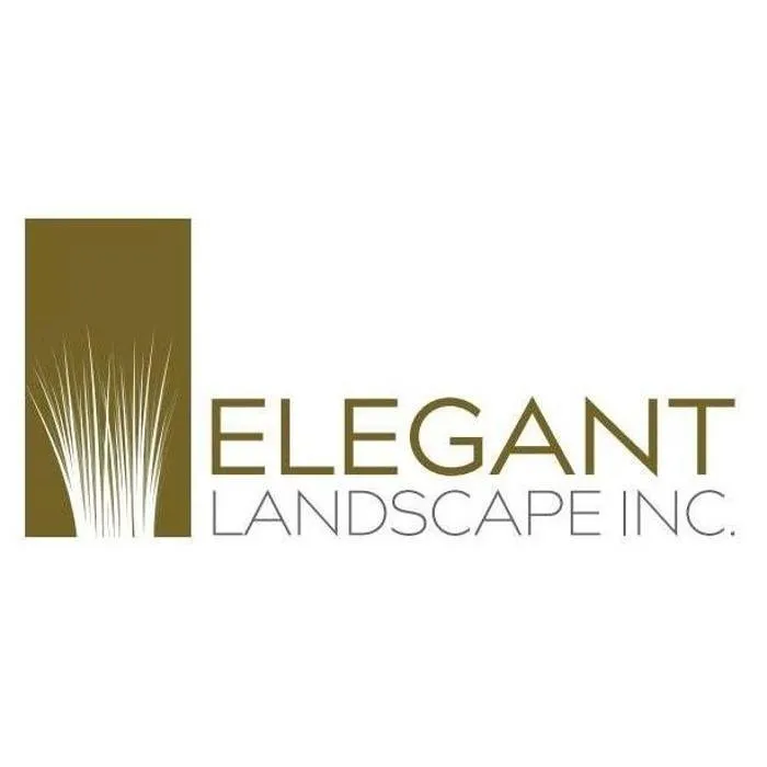 Expert landscape design experts serving Escondido, CA - Elegant Landscape