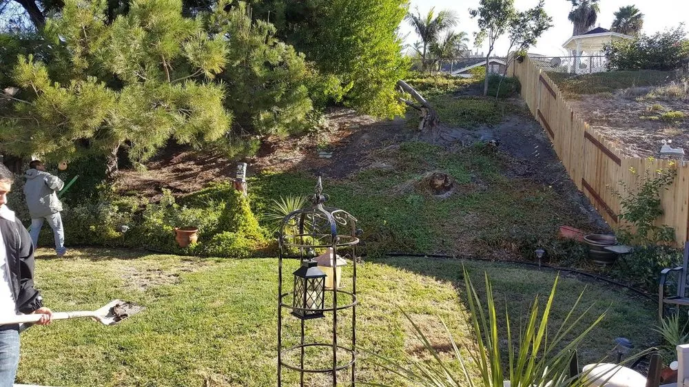 Reliable landscape installation in Escondido, CA - Elegant Landscape