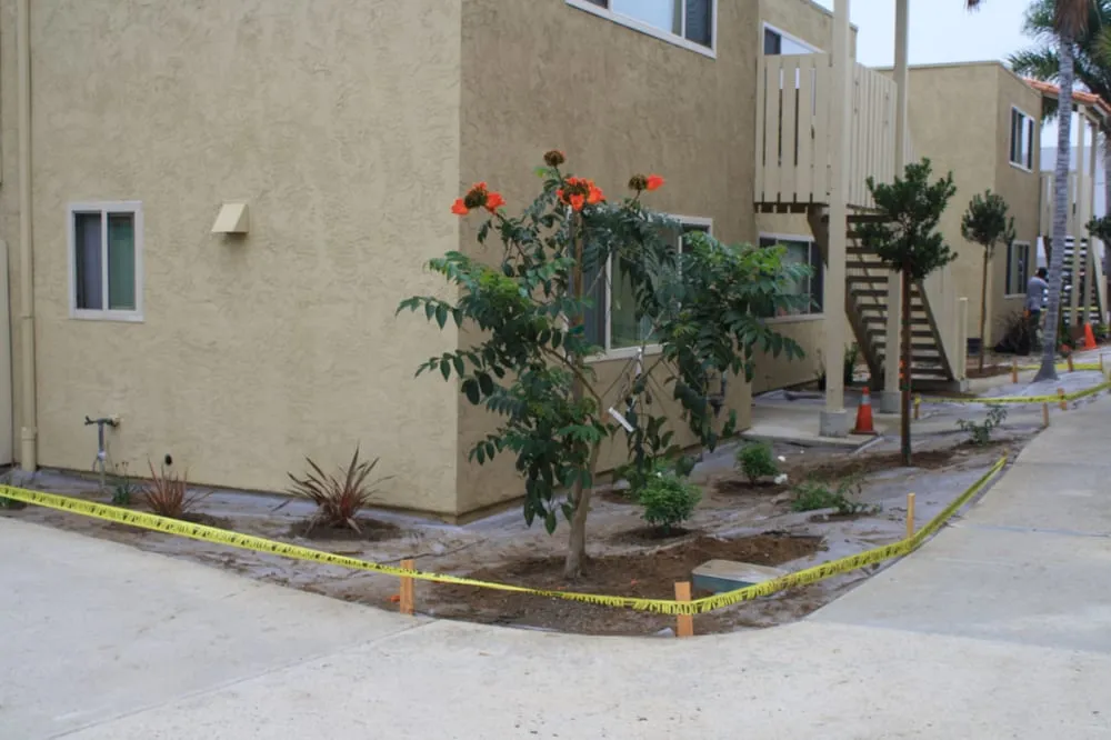 Top-rated landscaping services experts serving Escondido, CA - Elegant Landscape